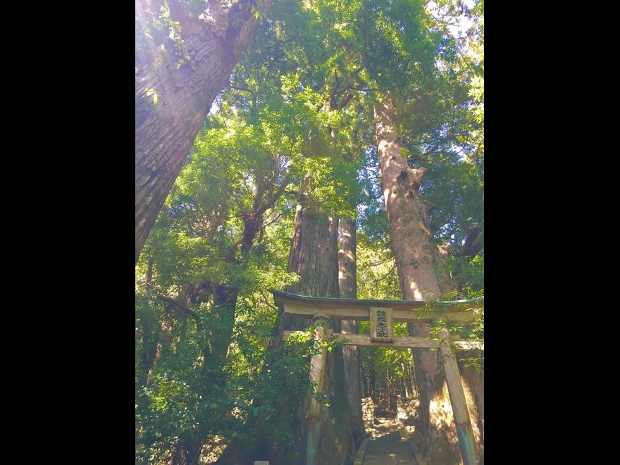 Kumano Kodo