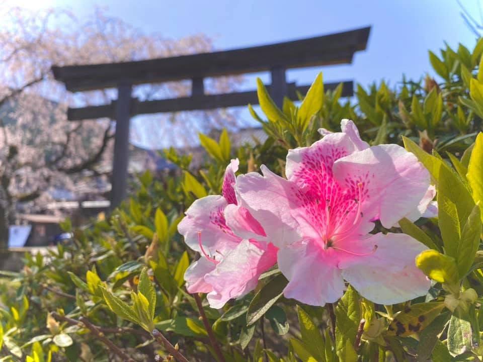 Kumano Kodo