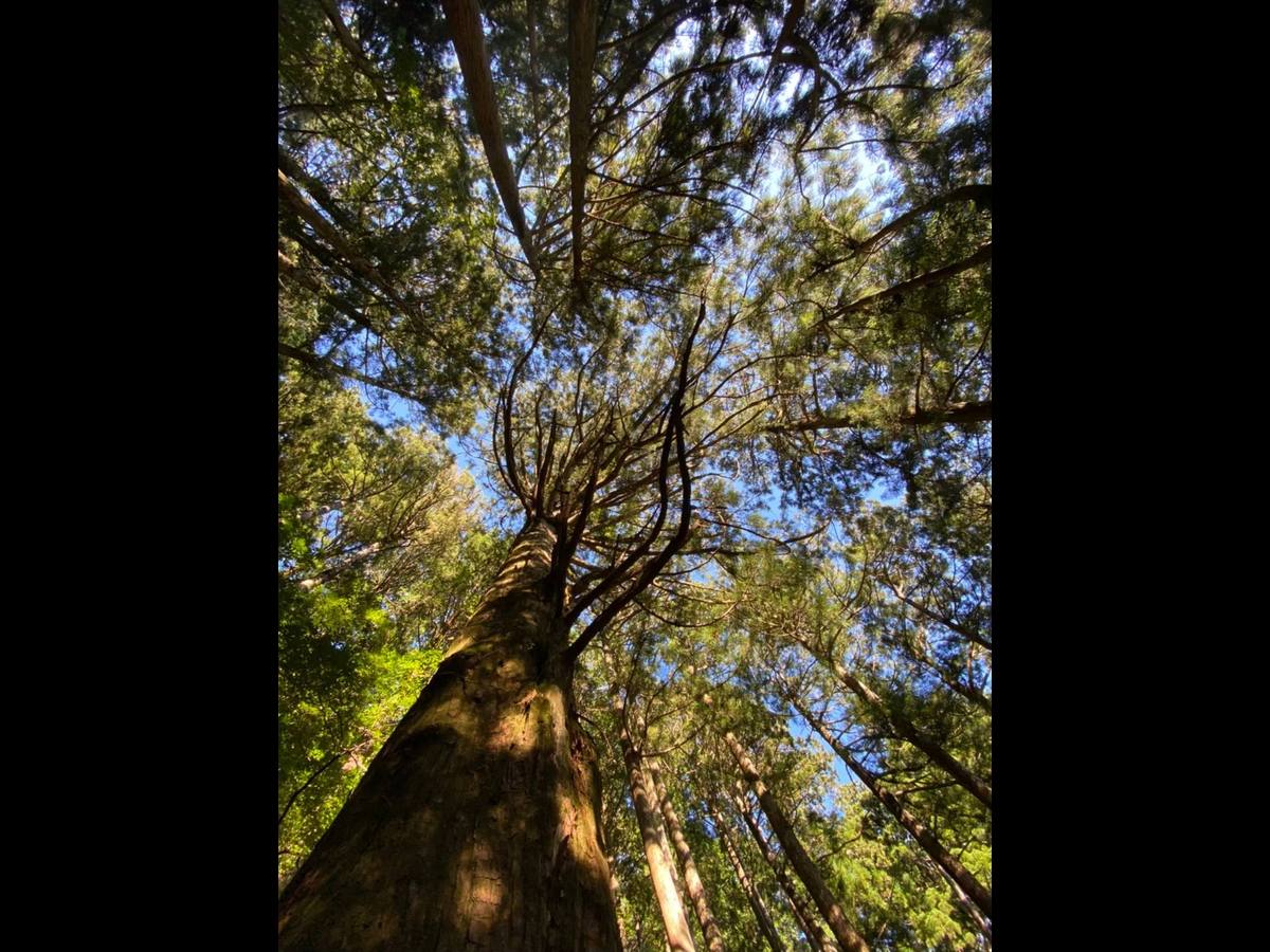 Kumano Kodo